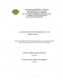 LA FASE DE EJECUCION EN MATERIA PENAL Y SUS IMPLICACIONES