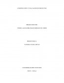 CONSTRUCCIÓN Y EVALUACIÓN DE PROYECTOS