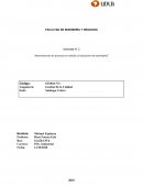 Actividad N° 2 “Administración de procesos en calidad y Evaluación de desempeño”