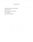 Organizacion de la produccion. Tema: Señalización