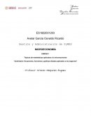 Tópicos de matemáticas aplicados a la microeconomía “Actividad 2: Ecuaciones, funciones y graficas lineales aplicados a los negocios”
