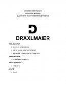 ELABORACIÓN DE UN ARNÉS MODELO VW325/129