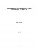 MANUAL DE PROCEDIMIENTOS PARA LA IMPLEMENTACION DE LAS POLITICAS DE SEGURIDAD INFORMATICA EN LA EMPRESA EN-CORE