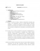 Ejemplo de Sillabus - Diplomado educación superior