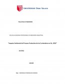 Impacto Ambiental del Proceso Productivo de las Curtiembres