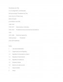 Caracteristicas presidentes Сhile 1995 2005