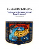 El Despido Laboral Topicos y Vertientes