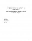 Determinación de Nitrito en Longaniza