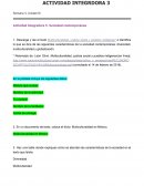 Actividad integradora Sociedad contemporánea. Multiculturalidad en México