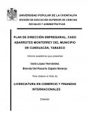PLAN DE DIRECCIÓN EMPRESARIAL, CASO ABARROTES MONTERREY DEL MUNICIPIO DE CUNDUACÁN, TABASCO