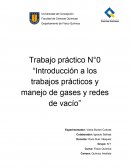 Trabajo práctico “Introducción a los trabajos prácticos y manejo de gases y redes de vacío”