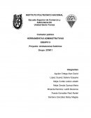 Contador público HERRAMIENTAS ADMINISTRATIVAS EQUIPO 5