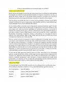 ¿Cómo la responsabilidad social empresarial aplica en la PYMES?