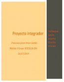 Proyecto integrador. Una visión más completa de la realidad