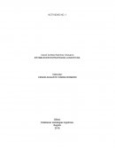 Estrategias logisticas actividad 1