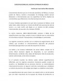 Especificaciones del Azúcar Estándar en México