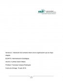 Semana 2. Valoración del contexto interno de la organización que se haya elegido