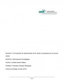 Formulación de mejoramiento de la misión o propuesta de una nueva misión