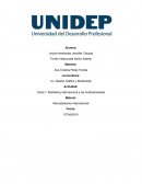 Marketing internacional y las multinacionales Bimbo