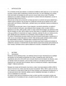 Proceso de elaboración de alimento avícola y de faenamiento en aves