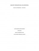 Inteligencias Múltiples (Grupo Educare)