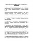 Importancia del tratamiento de aguas residuales en la conservación del medio ambiental