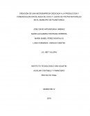 CREACIÓN DE UNA MICROEMPRESA DEDICADA A LA PRODUCCION Y COMERCIALIZACION DE AGUA DE COCO Y JUGOS DE FRUTAS NATURALES EN EL MUNICIPIO DE PLANETARICA