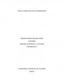 ENSAYO SOBRE QUE SON LAS HUMANIDADES