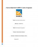 Estimacion de los tiempos y costos