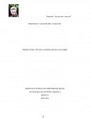 Actividad Propuesta Caso Pio pio y mas pio