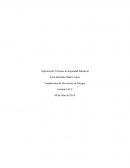 Tarea semana 4 prevencion de riesgos