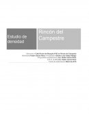 Estudio de densidad Rincón del Campestre