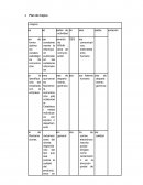 PLAN DE MEJORA EN PLANTA