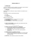 TEORIA DEL ERROR “T.E.”