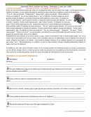 Estudio de caso: Los sabios y el elefante