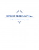 PRINCIPIO DE BILATERALIDAD Y TUTELA JURIDA EFECTIVA