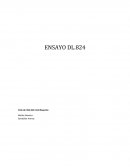 Ciclo de Vida del Contribuyente