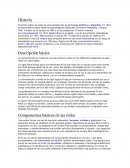 Historia descripcion de las redes