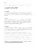 La piel. HIPODERMIS, DERMIS Y EPIDERMIS