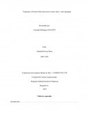 Propuesta y Elevator Pitch sobre precio, buen valor y valor agregado