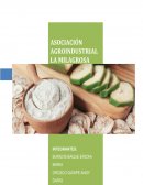 LA CADENA DE VALOR DE LA HARINA DE PLÁTANO Y SU RELACIÓN CON LA PRODUCTIVIDAD EN LA PARROQUIA PICOAZA DEL CANTÓN PORTOVIEJO, PROVINCIA DE MANABÍ, ECUADOR