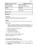 Actividad: Analizando la cultura organizacional de una empresa