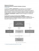 Sistemas de Producción Control de producción en sistemas orientados a procesos