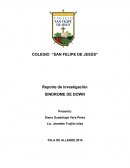 Reporte de investigación SINDROME DE DOWN