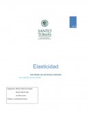 Administración. Elasticidad