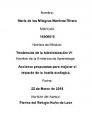 Acciones propuestas para mejorar el impacto de tu huella ecológica