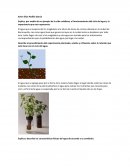 Descripcion y caracteristicas fisicas del agua