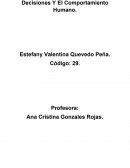 Como Influye La Publicidad En Las Decisiones Y El Comportamiento Humano