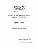 Evidencia unidad 1 algebra lineal