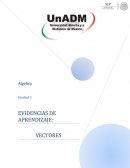 Evidencias de aprendizaje: Vectores